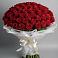 Букет 101 Красная роза Блэк Мэджик в Шали