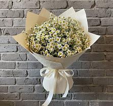 Букет цветов из:  Ромашки в Шали