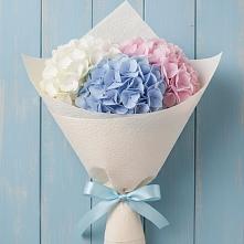 Букет цветов из:  Гортензия в Шали