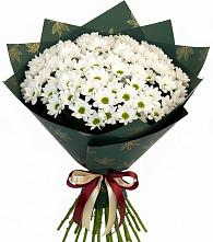 Букет цветов из:  Хризантемы в Шали