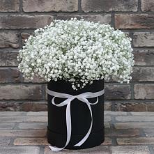 Цветочная композиция из Гипсофила в шляпной коробке в Шали