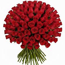 Букет Красные розы Чери Лав в Шали