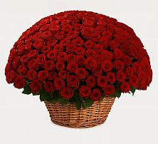 Премиум букет из: Розы в Шали